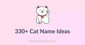 Cat Name Ideas | Best Names for your Cat