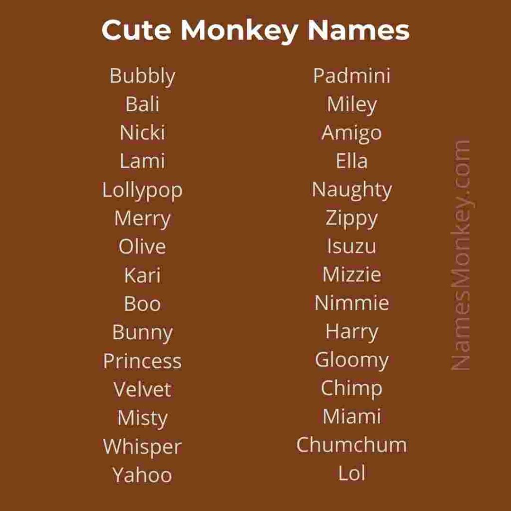 Cute Monkey Names