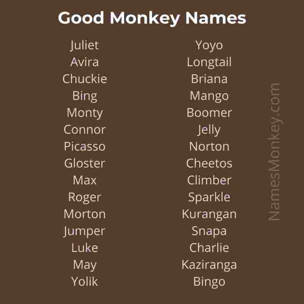 Good Monkey Names