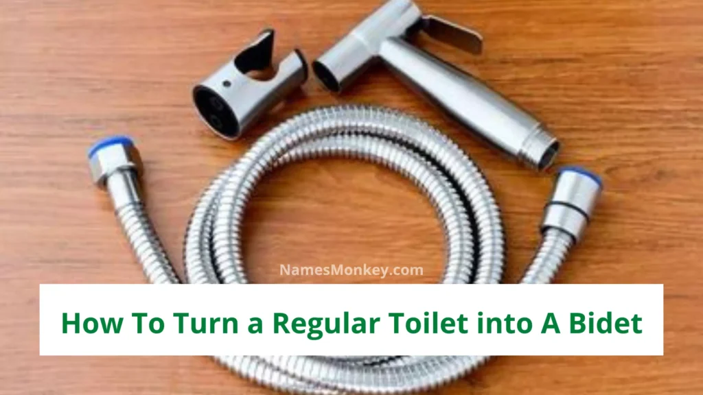 How To Turn a Regular Toilet into A Bidet